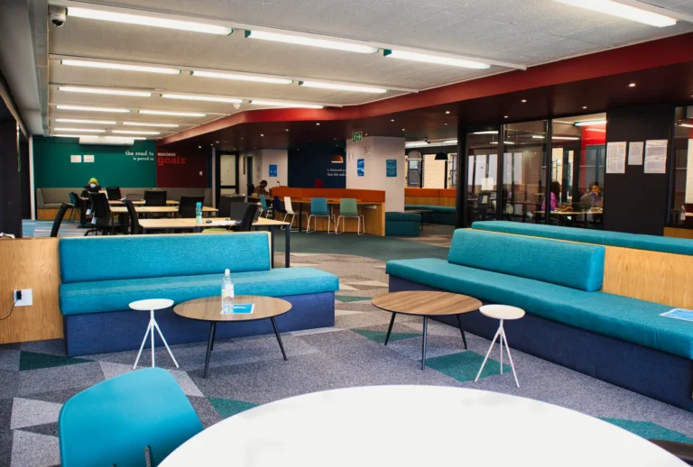 Study Area