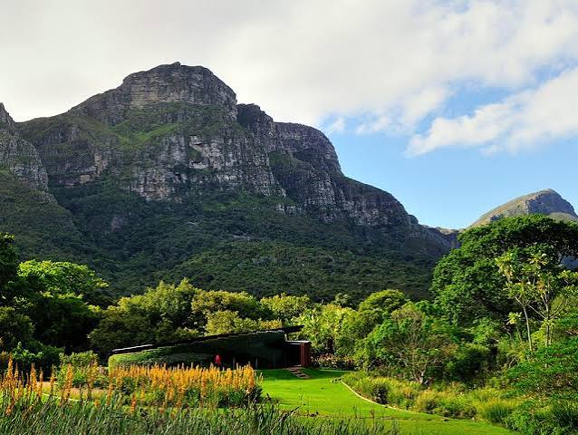 kirstenbosch-gardens