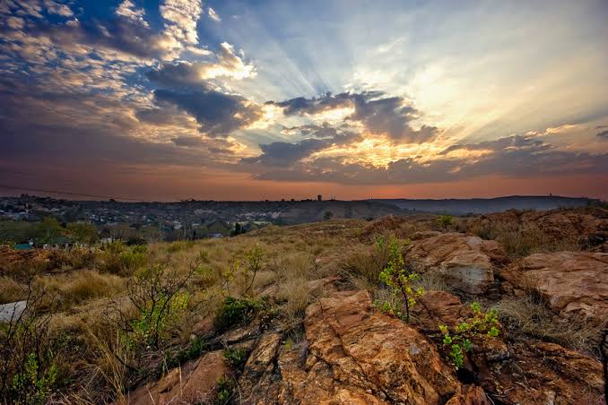 melville-koppies